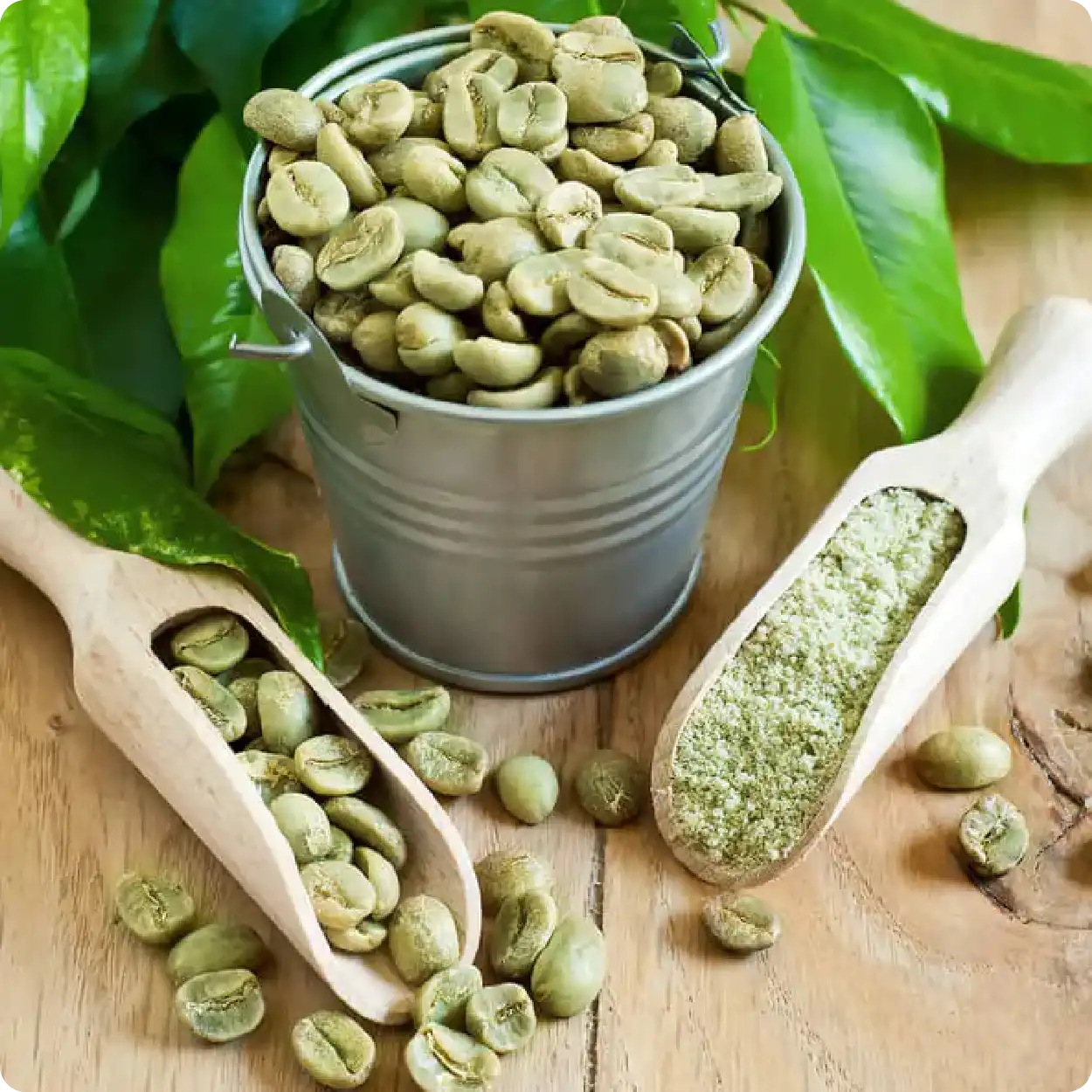ing_cafe-verde.webp